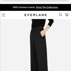 Everlane wide leg slouchy pant